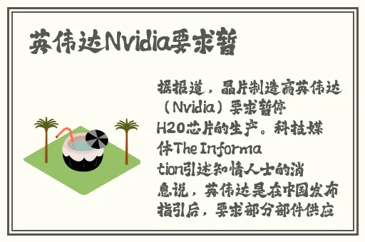 **达芬奇密码